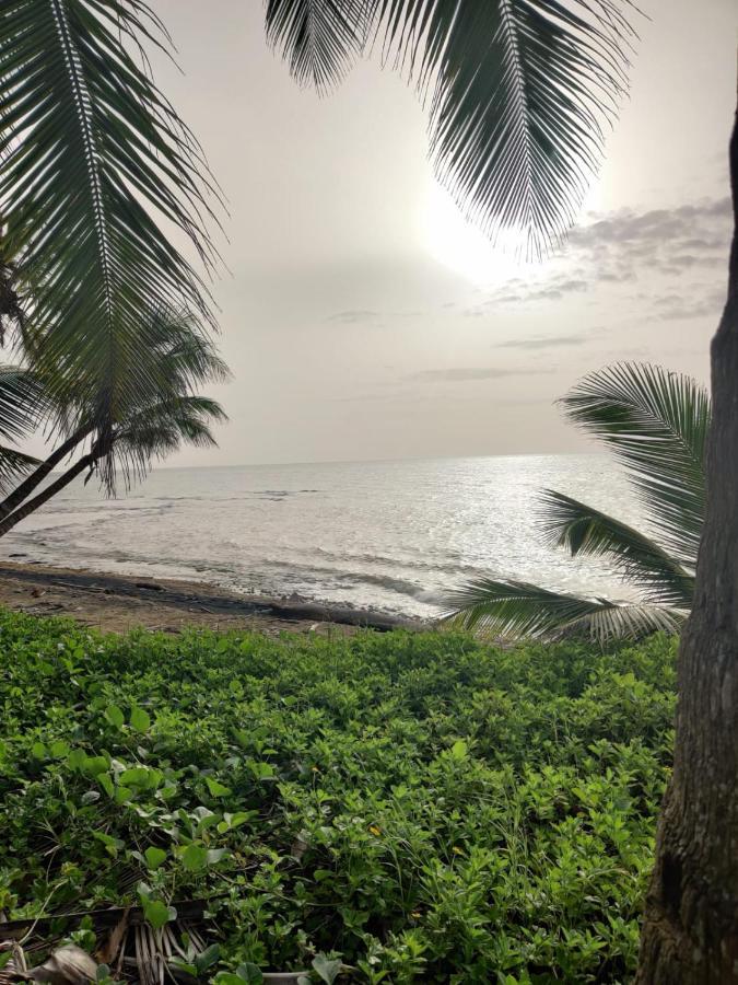 La Casa Hamaca En Aguada Lägenhet Exteriör bild