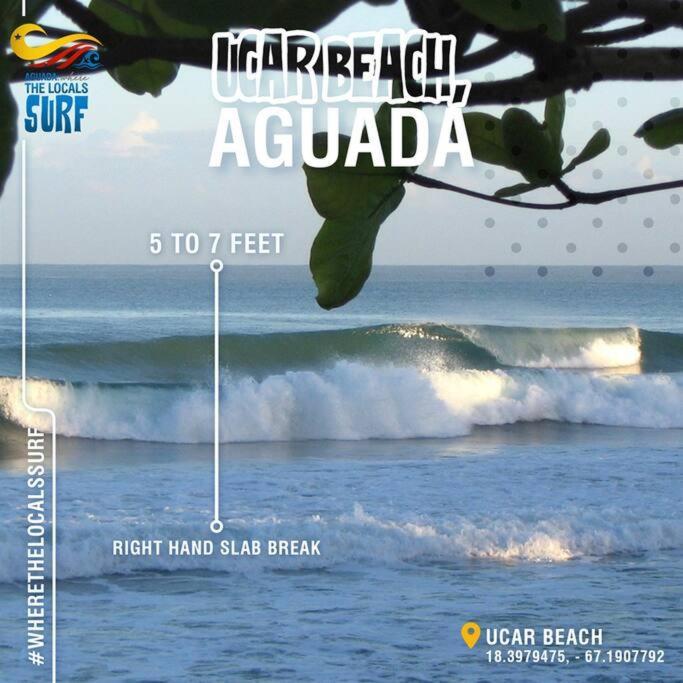 La Casa Hamaca En Aguada Lägenhet Exteriör bild